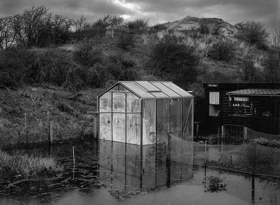 A small greenhouse standing in floodwater beneath shrubs and a low hillside.